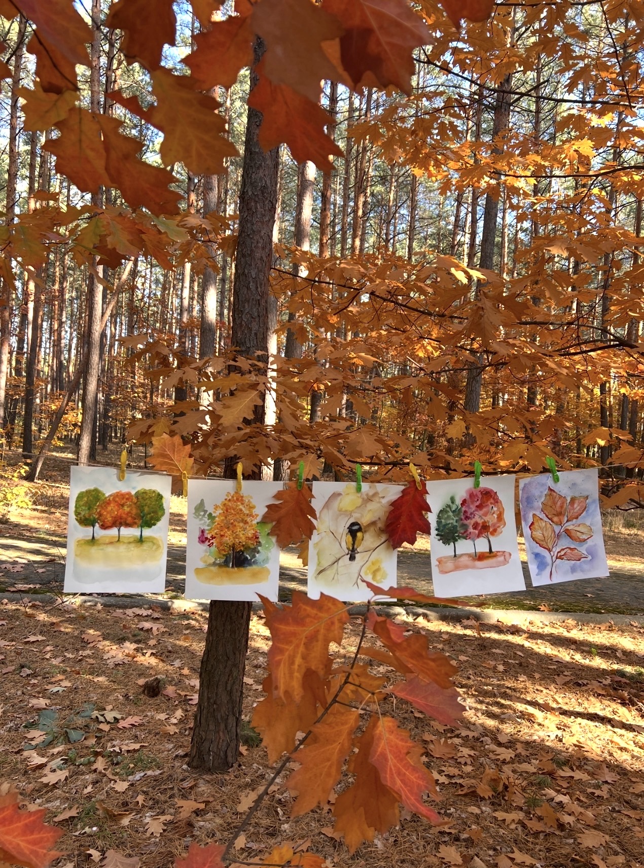 Breath of Autumn. October at Marina Stognieva's personal exhibition in a Kyiv forest, 2023